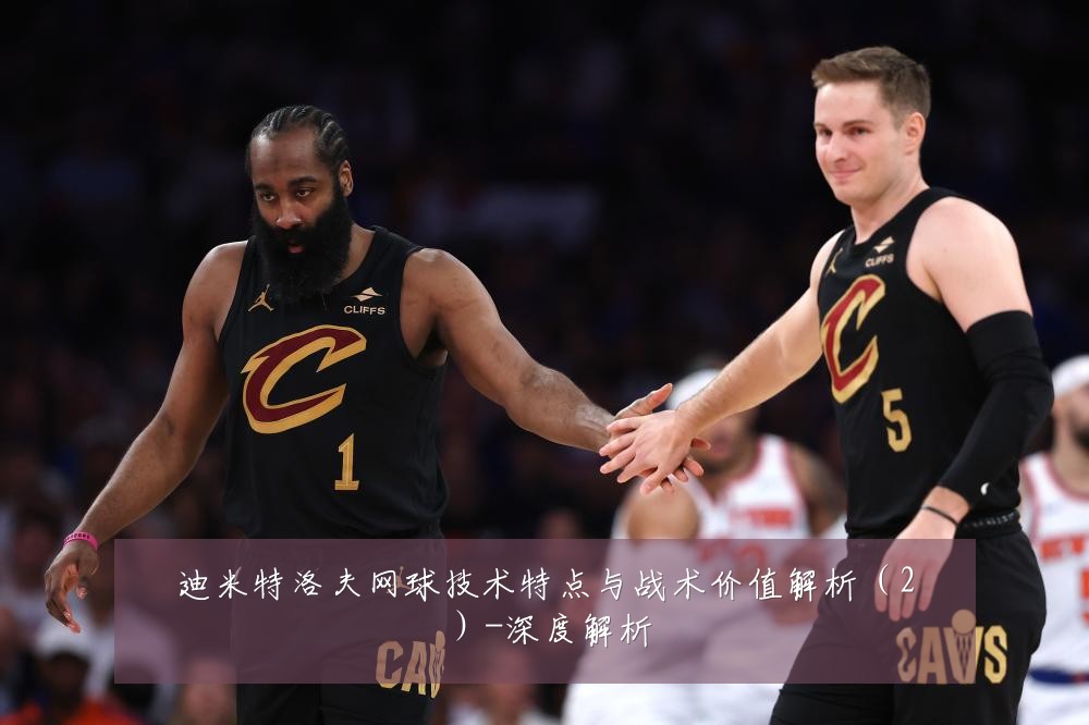 迪米特洛夫网球技术特点与战术价值解析(2)-深度解析